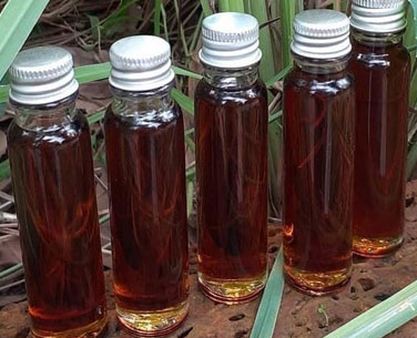Lifa Fragrance Agarwood Oil Sallah Muri Chips Supplier, Exporter India