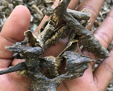 Lifa Fragrance Agarwood Oil Sallah Muri Chips Supplier, Exporter India